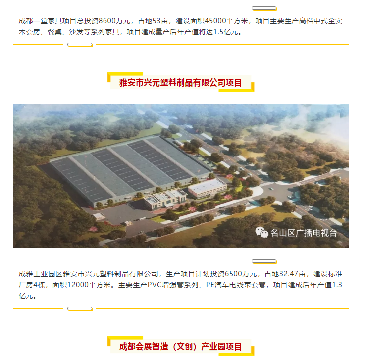總投資157.1億元！四川省2019年第一季度重大項目集中開工儀式雅安分會場在成雅工業(yè)園區(qū)舉行(圖6)